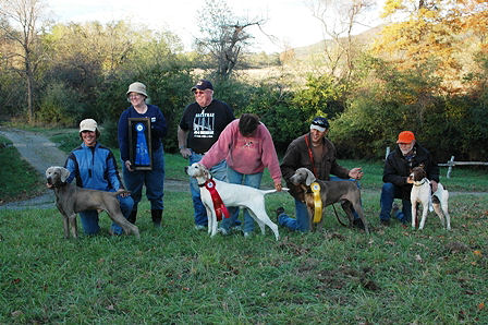 Amateur Limited Gun Dog - All Breed Stake