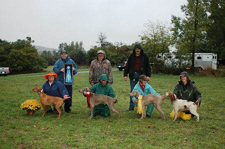 All Open Gun Dog Placements