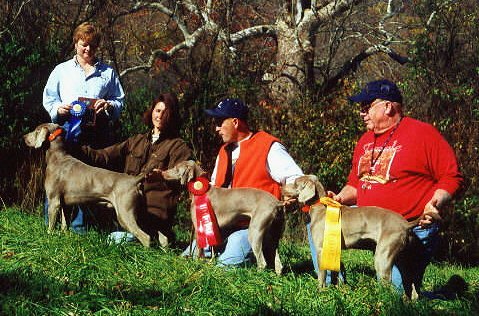 Amateur Walking Derby