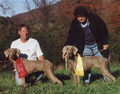 Open Gun Dog