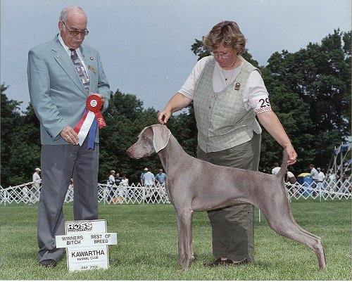 Tessie: New Canadian Champion